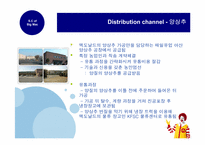 [공급사슬] Supply Chain of Big Mac(맥도날드 빅맥의 공급사슬)-13