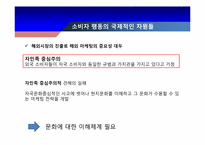 [소비자행동론] 비교 문화적인 영향과 세계적인 영향-3