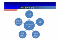 [소비자행동론] 비교 문화적인 영향과 세계적인 영향-5