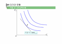 [거시경제학] 거시경제학의 미시적 기초-10