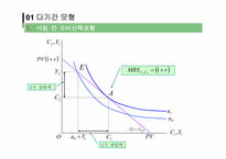 [거시경제학] 거시경제학의 미시적 기초-17