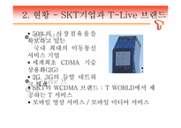 [마케팅] SKT T-LIVE를 통한 3G+의 마케팅의 이해와 최근의 마케팅 현상의 이해와 분석-4