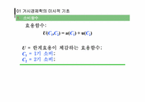 [거시경제학] 거시적 경제학의 미시적 기초와 일반 균형 모형-3