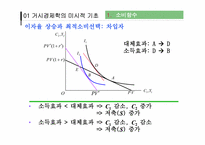 [거시경제학] 거시적 경제학의 미시적 기초와 일반 균형 모형-17