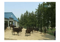 [소비자정보론] 유비쿼터스의 이해와 발전 방향-12
