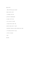[현대문화와현대사회] 세컨드 라이프에 관한 이해와 고찰-8