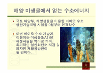 [미래에너지와환경] 운용가능성이 있는 대체에너지 및 재생에너지-8