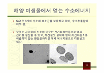 [미래에너지와환경] 운용가능성이 있는 대체에너지 및 재생에너지-9