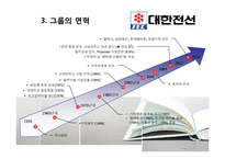[산업조직론] 대한전선의 상속 및 퇴조-3