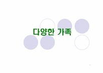 [인간과가족생활] 다양한 가족-1