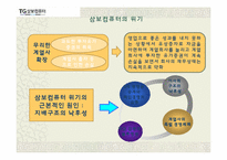 [지배구조] 한국재벌의 기업지배구조 사례 개발-6