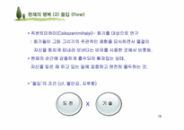 [인간관계심리학] 행복한 삶-18