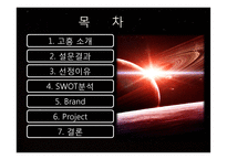 [도시행정] 고흥시 홍보 전략-2