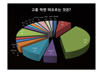 [도시행정] 고흥시 홍보 전략-7