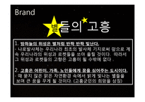 [도시행정] 고흥시 홍보 전략-13