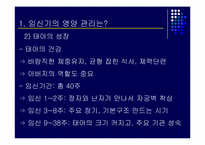 [현대인의생활영양] 임신,수유기의 영양관리-5