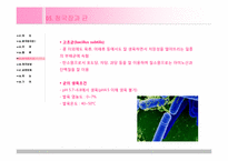 [식품가공및저장] 청국장 분석-7