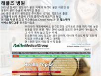 [의료산업] 의료관광의 전반적 소개와 보건산업에 미치는 영향 분석-13