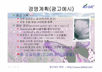사업계획서 <인터넷 광고기획회사>-11