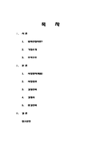 [국제경영]록히드 마틴사(Lockheed & Martin Marietta)경영 분석-2
