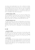 [국제경영]록히드 마틴사(Lockheed & Martin Marietta)경영 분석-13