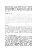 포스코의 민영화 사례-2
