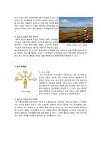 [부동산 중개 및 마케팅]난지도 매립지를 공원으로 개발한, 월드컵공원의 마케팅 성공사례-7