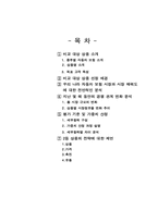 [마케팅관리]삼성 화재 애니카 보험과 현대 해상 하이카 보험 비교-2