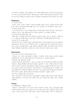 [국제경영]대상(주)의 미원 인도네시아에서의 성공전략-12