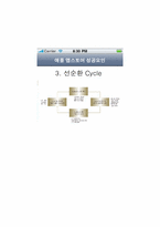 [경영조직론]애플 앱스토어의 성공요인 분석-13