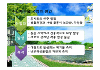 [자원환경경제학]우리나라의 환경오염 실태와 정책-19