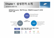 [경영학원론]삼성 PAVV 마케팅 전략-5