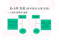 [마케팅]자동차 보험회사의 마케팅전략(동부화재와 삼성화재)-12