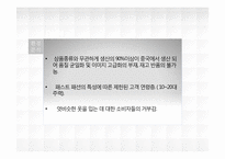 [마케팅]유니클로의 `기능성청바지` 마케팅 전략-7