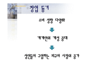 [이비지니스] 온라인 피규어몰 창업계획서-4