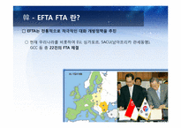[국제경영]현대자동차 EFTA 국가 진출 전략-4