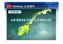 [국제경영]현대자동차 EFTA 국가 진출 전략-19
