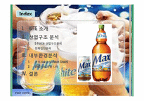 [환경분석] 하이트 맥주 산업구조 분석 및 내부환경분석-2