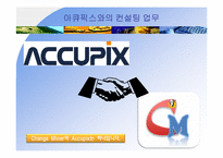 [조직설계]ACCUPIX 아큐픽스 기업컨설팅-조직구조 진단 및 변화 설계-6