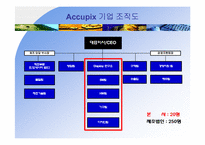 [조직설계]ACCUPIX 아큐픽스 기업컨설팅-조직구조 진단 및 변화 설계-10