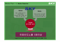 [광고론]SKY 스카이 IM-S110 핸드폰 마케팅 전략-10