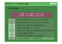 [광고론]SKY 스카이 IM-S110 핸드폰 마케팅 전략-14