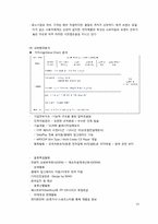 [환경분석]아이리버Iriver, 끝없는 도전과 혁신, 미래에도 가능할 것인가-15