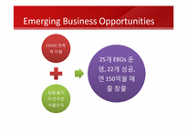 [기술경영]IBM EBO(emerging Business opportunities)-8