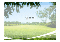 [국제지역학]국순당 막걸리의 싱가포르 진출전략-1