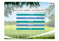 [국제지역학]국순당 막걸리의 싱가포르 진출전략-3