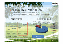[국제지역학]국순당 막걸리의 싱가포르 진출전략-4