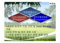 [국제지역학]국순당 막걸리의 싱가포르 진출전략-11
