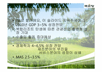 [국제지역학]국순당 막걸리의 싱가포르 진출전략-12