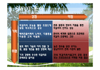 [국제지역학]국순당 막걸리의 싱가포르 진출전략-20